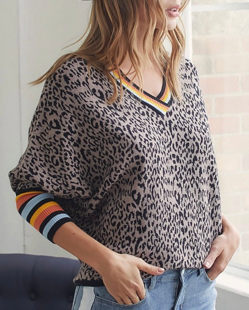 V neck clearance leopard sweater