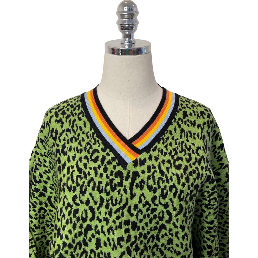 Leopard Sweater with Stripe Sleeve
