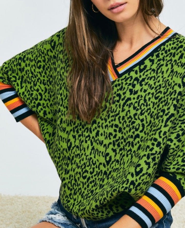 Leopard Sweater with Stripe Sleeve