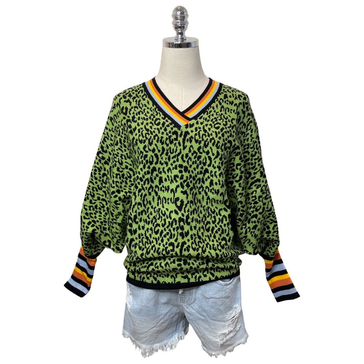 Leopard Sweater with Stripe Sleeve