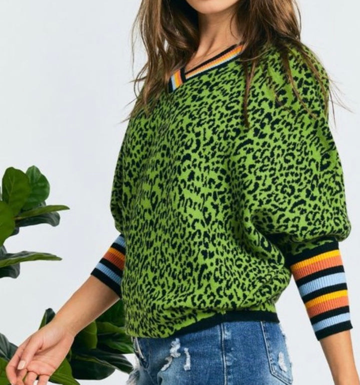 Leopard Sweater with Stripe Sleeve