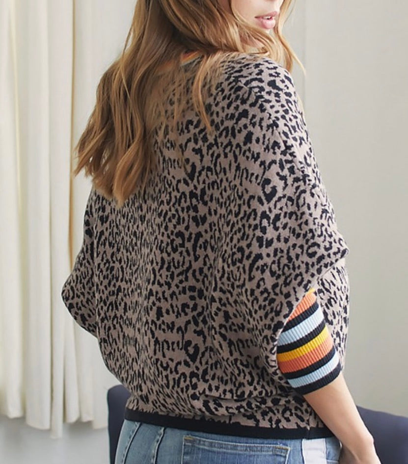 Leopard Sweater with Stripe Sleeve